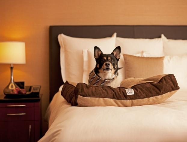 Hyatt Place Atlanta/Buckhead hotel detail image 4