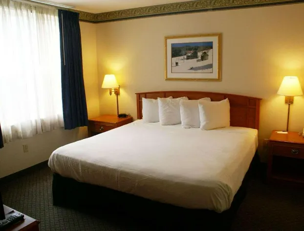 Country Inn & Suites by Radisson, Lansing, MI hotel detail image 4