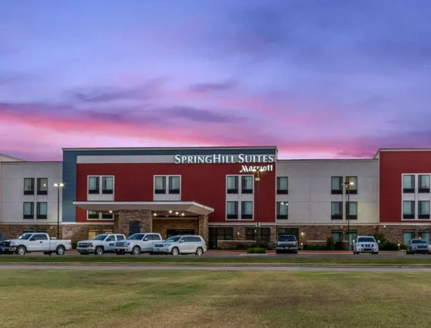 SpringHill Suites by Marriott Enid hotel detail image 2