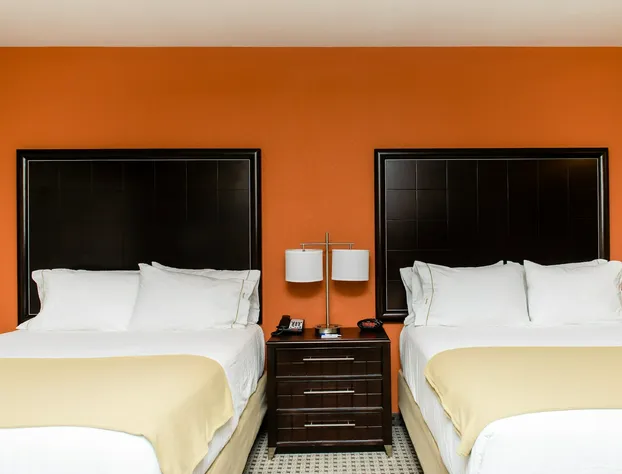 Holiday Inn Express & Suites Austin NW - Arboretum Area by IHG hotel detail image 4