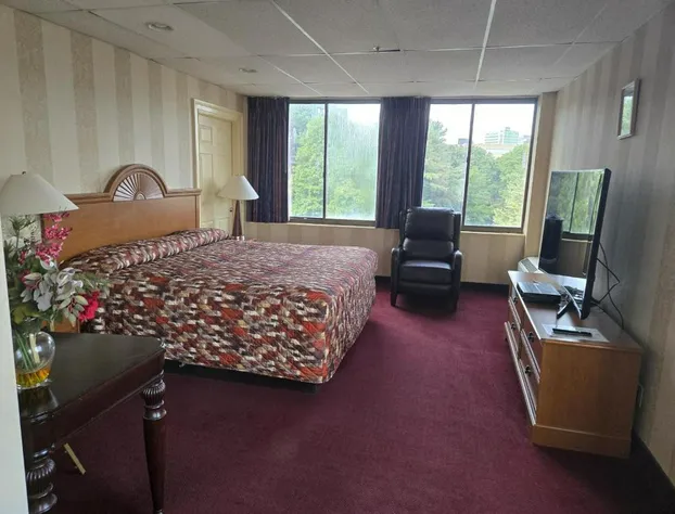 Amsterdam Hotel hotel detail image 4