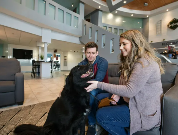 Metropolis Resort hotel detail image 3