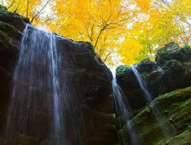 Surrey Inn Ashland hotel detail image 4