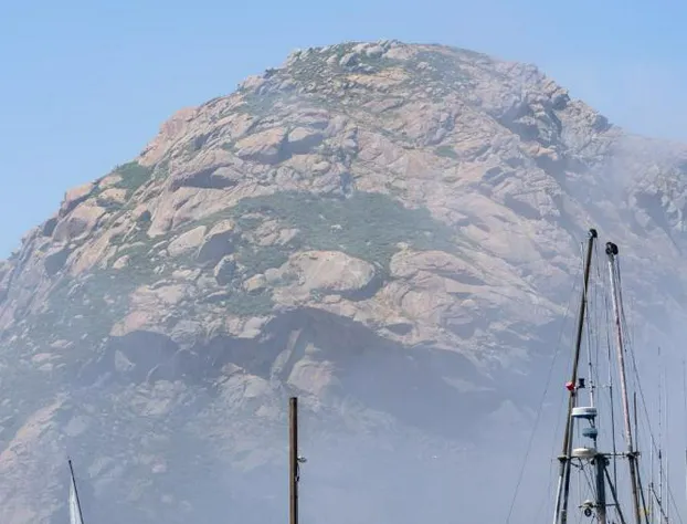 Ascot Suites hotel detail image 4