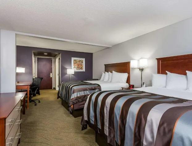 Wingate by Wyndham Chesapeake hotel detail image 4