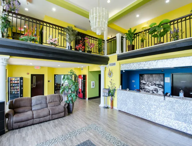 Super 8 by Wyndham Hull Street Midlothian / Richmond Area hotel detail image 2