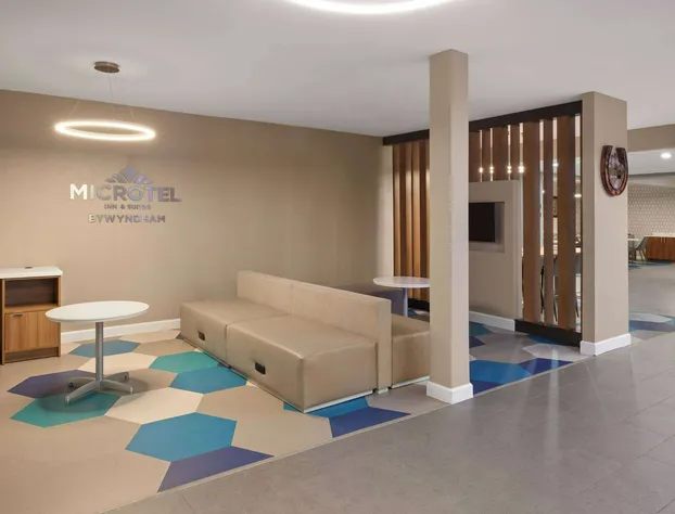 Microtel Inn & Suites by Wyndham Buda Austin South hotel detail image 3