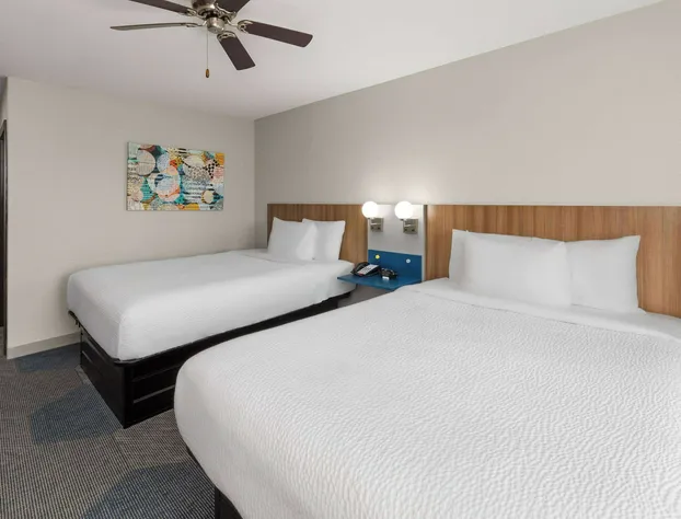 Microtel Inn & Suites by Wyndham Buda Austin South hotel detail image 4