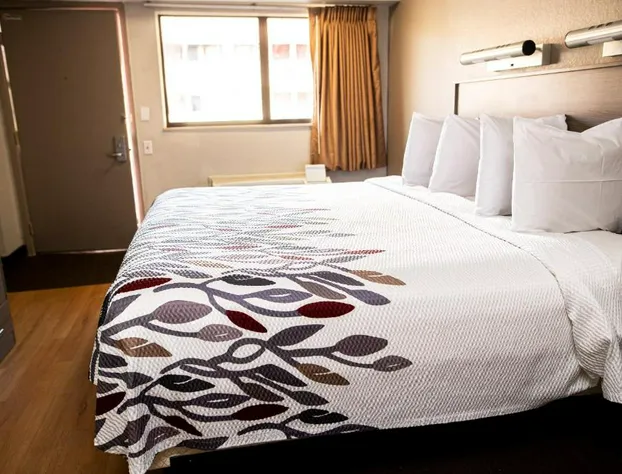 Red Roof Inn Rochester - Henrietta hotel detail image 4