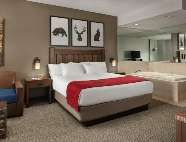 Great Wolf Lodge Grapevine hotel detail image 4