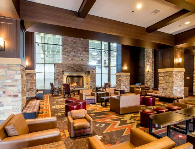 Great Wolf Lodge Bloomington hotel detail image 2