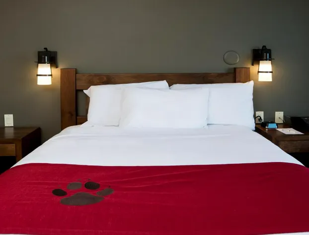 Great Wolf Lodge Bloomington hotel detail image 4