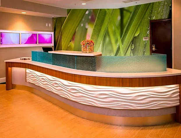 Springhill Suites Gaithersburg hotel detail image 2