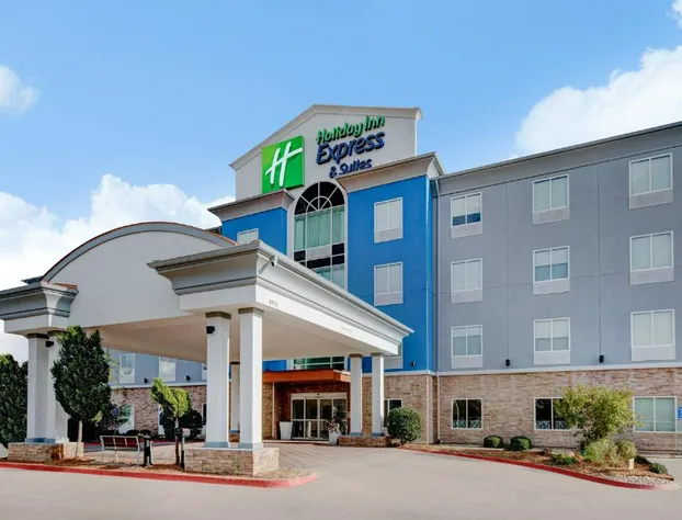 Holiday Inn Express Hotel & Suites DALLAS WEST by IHG hotel detail image 2