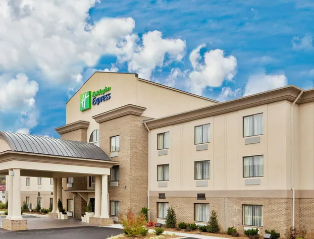 Holiday Inn Express Troutville by IHG hotel detail image 1