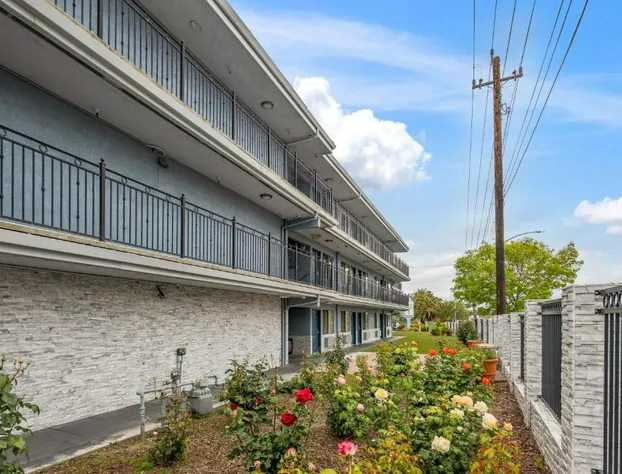 Executive Inn Hotel hotel detail image 4