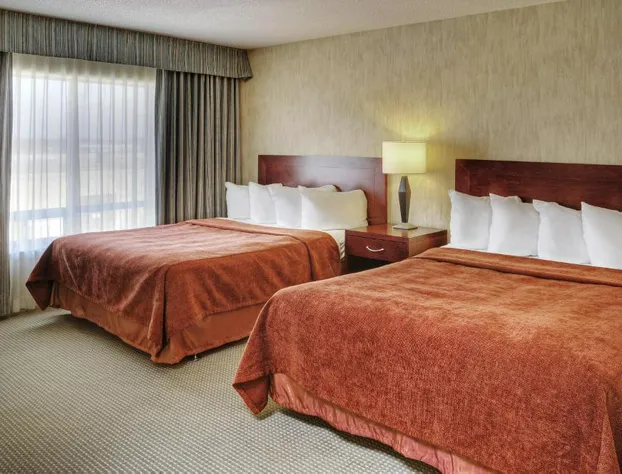 Comfort Suites London hotel detail image 3