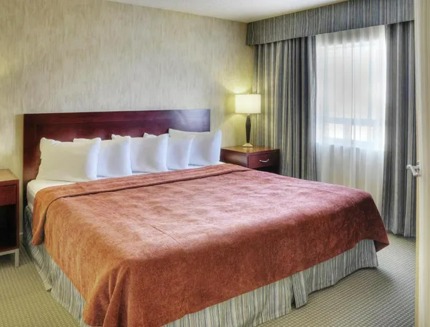 Comfort Suites London hotel detail image 2