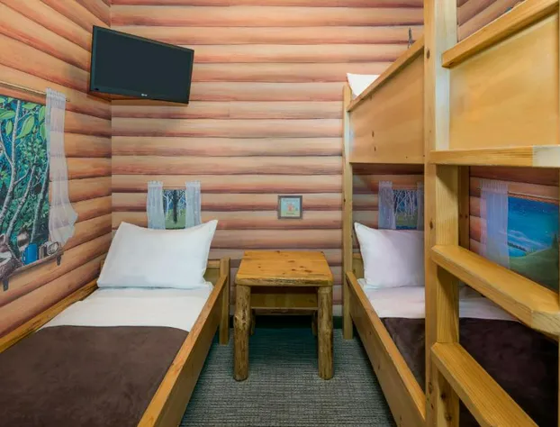 Great Wolf Lodge Traverse City hotel detail image 3