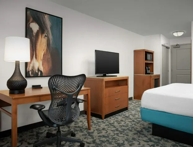 Hilton Garden Inn Fort Worth Medical Center hotel detail image 4