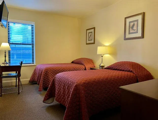 Oasis Guest House hotel detail image 4