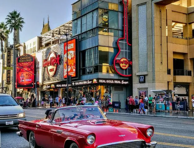 Montrose at Beverly Hills hotel detail image 3