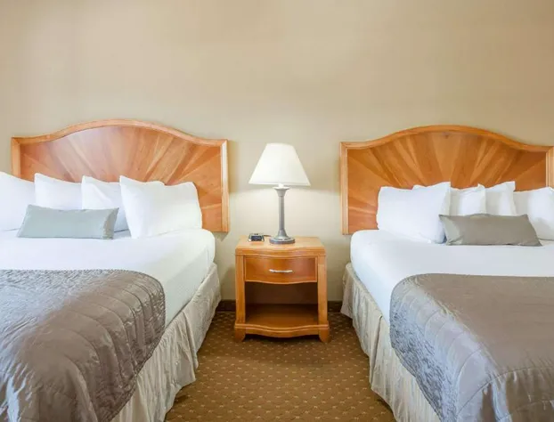 Baymont by Wyndham Asheville/Biltmore Village hotel detail image 3