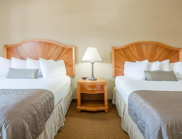 Baymont by Wyndham Asheville/Biltmore Village hotel detail image 3