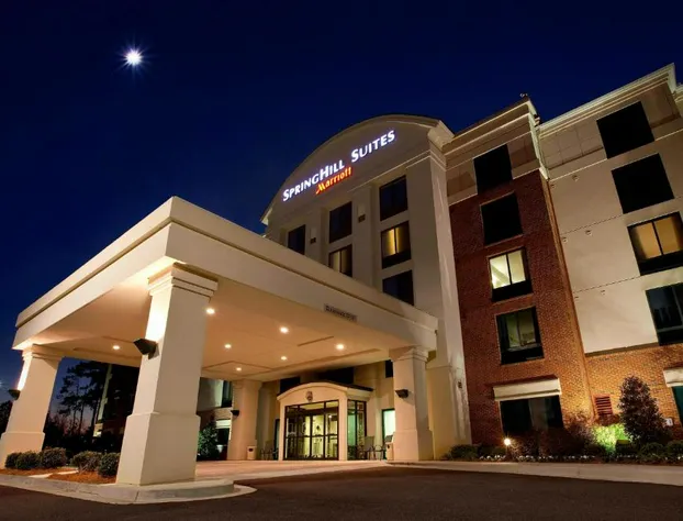 SpringHill Suites by Marriott Athens West hotel detail image 1