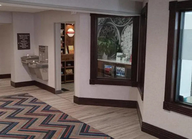 Hampton Inn Birch Run/Frankenmuth hotel detail image 3