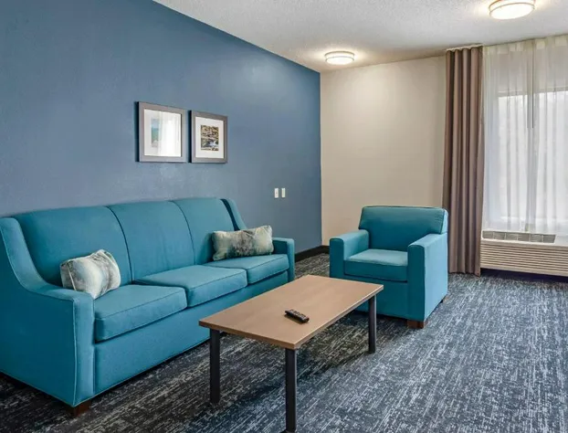 Comfort Inn & Suites Troutville-Roanoke North hotel detail image 4