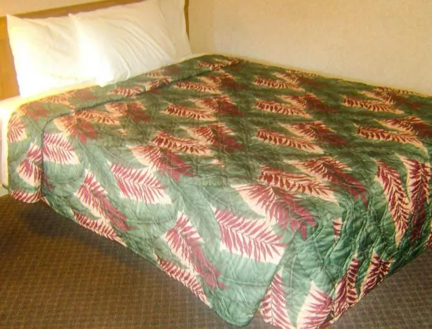 Alma Motel Alma hotel detail image 4