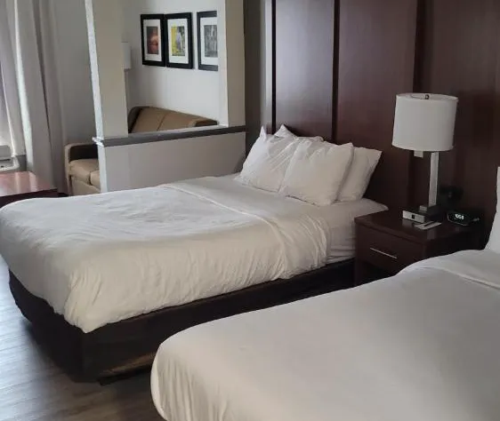 Comfort Suites Cumming-Atlanta near Northside Hospital Forsyth hotel detail image 3