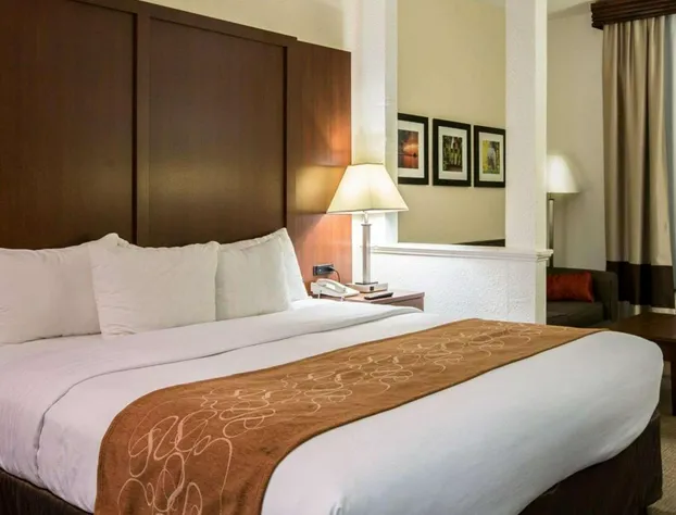 Comfort Suites Cumming-Atlanta near Northside Hospital Forsyth hotel detail image 4