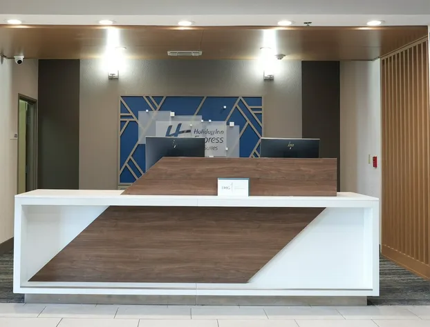 Holiday Inn Express & Suites Dallas Southwest-Cedar Hill by IHG hotel detail image 3