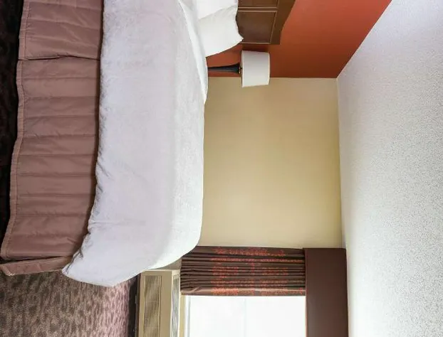 Hampton Inn Mansfield/Ontario hotel detail image 3