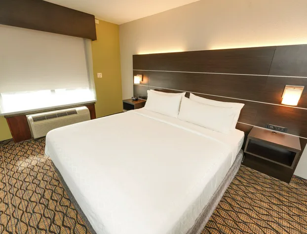 Holiday Inn Express and Suites Springfield Medical District by IHG hotel detail image 4