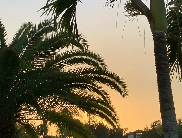 Virage Hotel hotel detail image 4