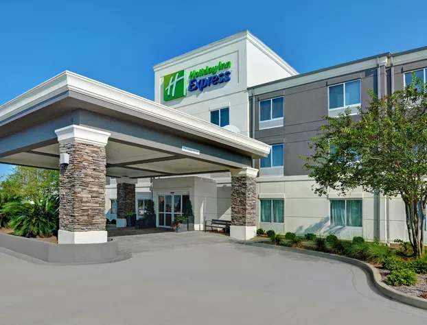 Holiday Inn Express Atmore by IHG hotel detail image 2