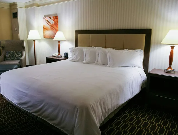 Hilton Jackson hotel detail image 3