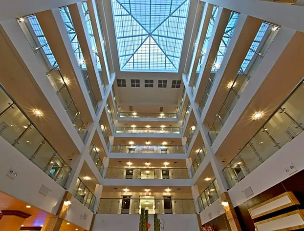 DoubleTree by Hilton Sarasota Bradenton Airport hotel detail image 3