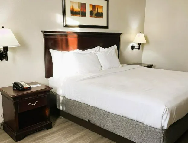 Country Inn & Suites by Radisson, Albany, GA hotel detail image 4