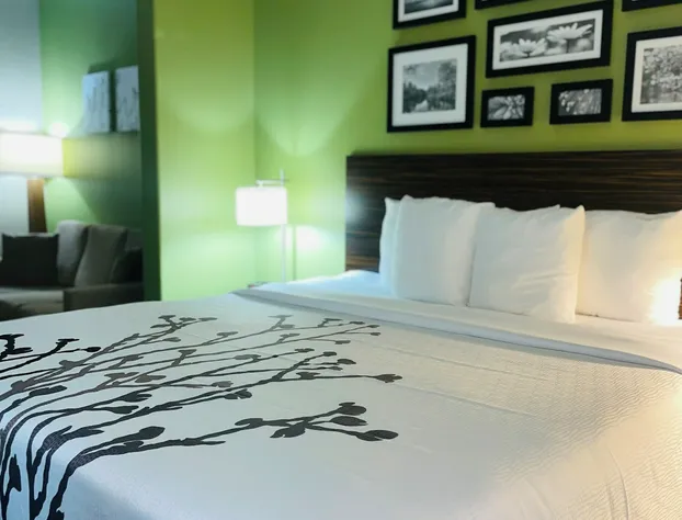 Sleep Inn & Suites Round Rock - Austin North hotel detail image 4