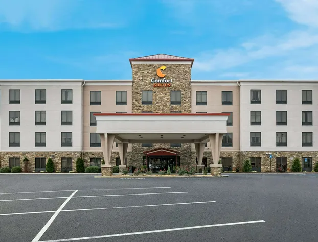 Comfort Suites Commerce hotel detail image 1