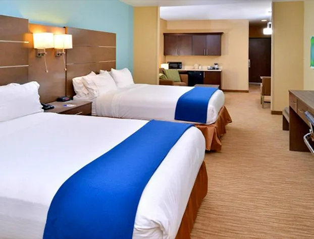 Holiday Inn Express Hotel & Suites Schulenburg by IHG hotel detail image 2