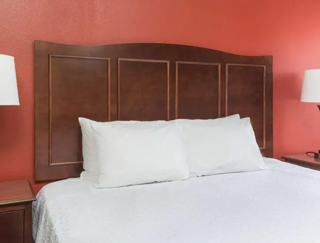 Hampton Inn Lubbock hotel detail image 4