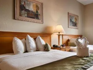 Best Western Plus Newport News Inn & Suites hotel detail image 3