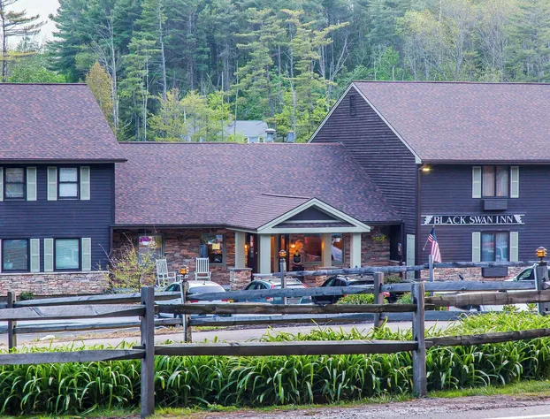 The Black Swan Lee - Lenox, an Ascend Collection Hotel hotel detail image 3