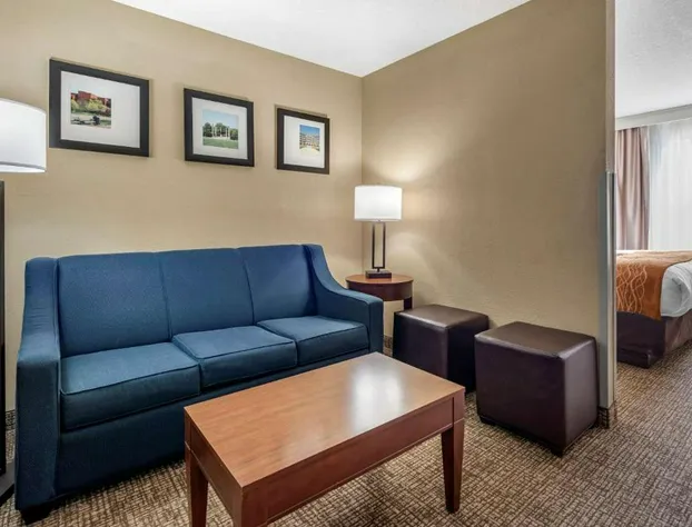 Comfort Inn & Suites Muncie Near University hotel detail image 4