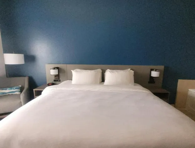 Comfort Inn & Suites Dothan Northside Plaza hotel detail image 4